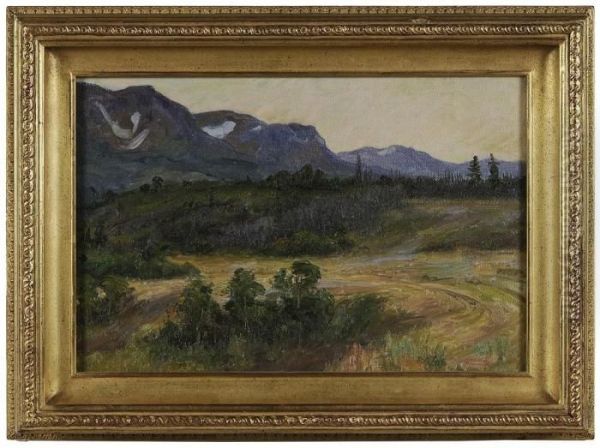 Evening In Blackfoot Country - view 1