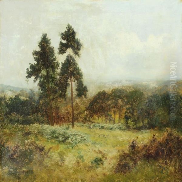 Scottish Landscape - view 1