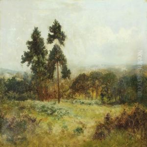 Scottish Landscape by Daniel Sherrin