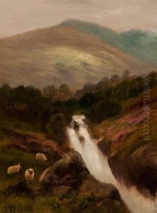 Highland Burn With Sheep Highland Burn With Sheep