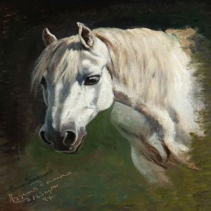 A White Arabian Horse In Dyregaard's Garden A White Arabian Horse In Dyregaard's Garden