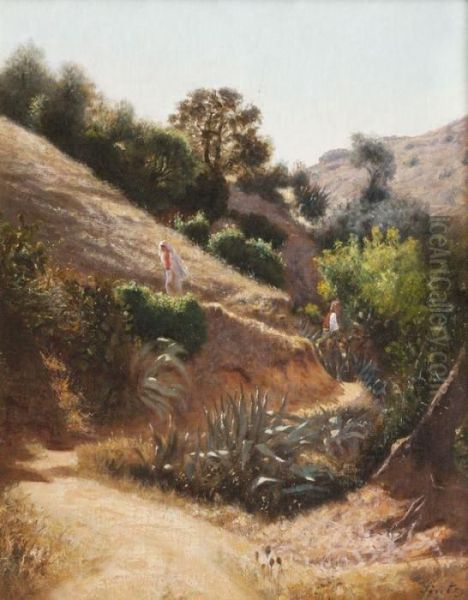 Chemin Dans L'atlas - view 1
