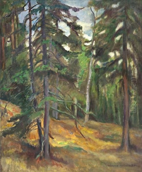 Forest Shade - view 1