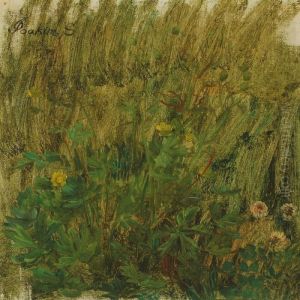 Meadow Study Meadow Study