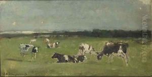 In de weide cows in a polder landscape - a study