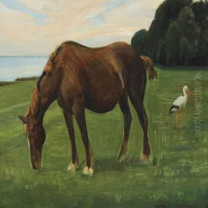 Landscape With Grazing Horse And Stork