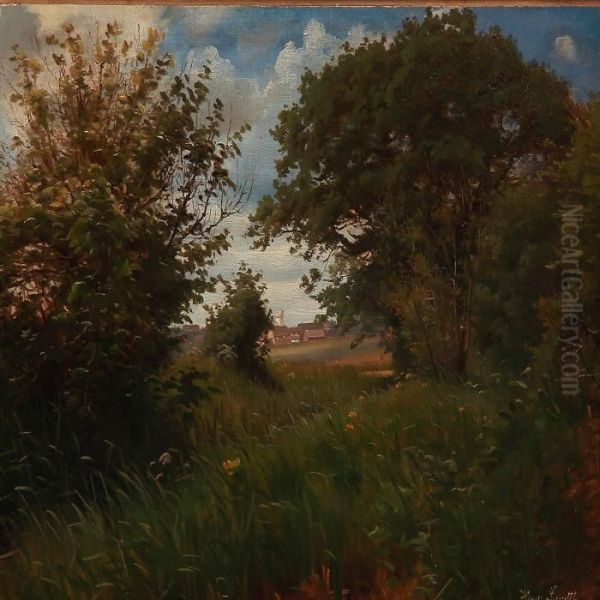 Summer Day In Denmark With A View Towards A Village - view 1