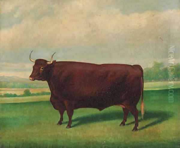 A prize longhorned bull - view 1