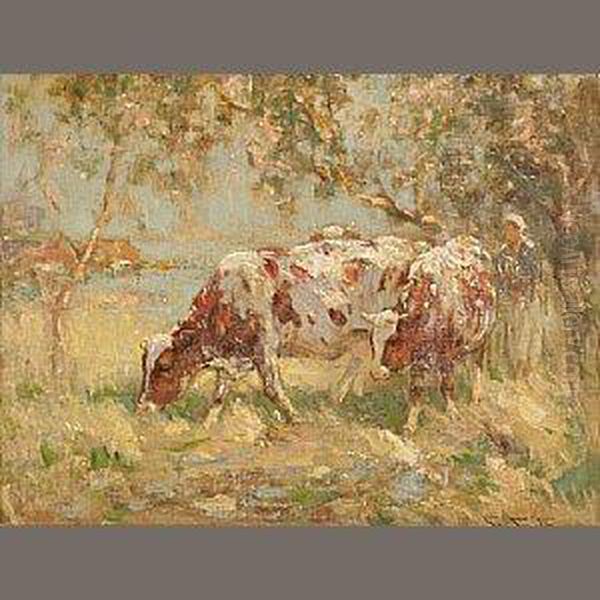 Cows In A Meadow - view 1