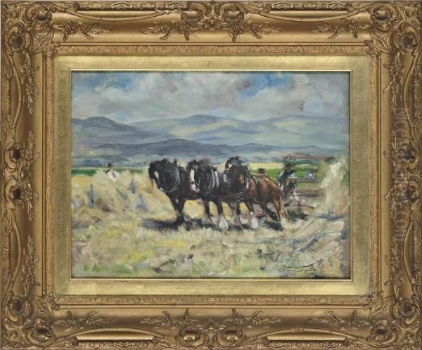 Harvest-time - view 1