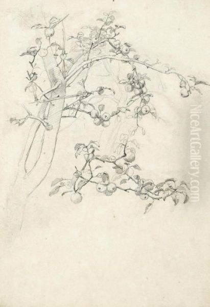 Study Of An Apple Tree Laden With Fruit - view 1