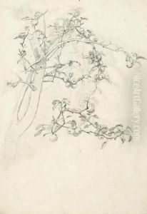 Study Of An Apple Tree Laden With Fruit Study Of An Apple Tree Laden With Fruit