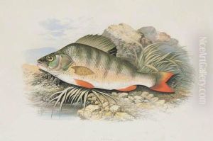 Anglers By A Mountain Stream