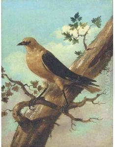 Bird On A Branch by Joham Matthias Wourzer