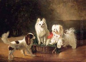 A Toy Spaniel, a Pomeranian and a Maltese Terrier at a Basket A Toy Spaniel, a Pomeranian and a Maltese Terrier at a Basket
