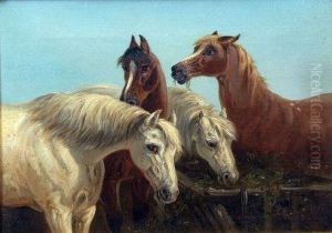 Four Horses By A Trough