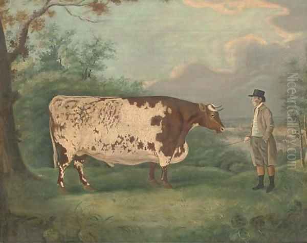 A prize bull - view 1