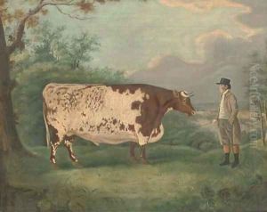 A prize bull