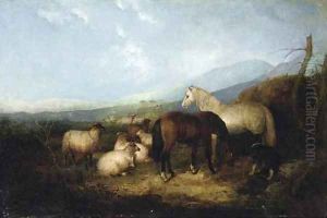 Horses with a flock of sheep