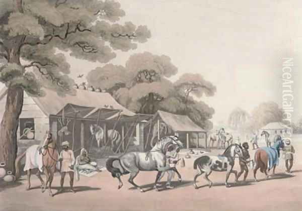 Horses - view 1