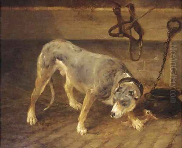 A tethered dog in a stable - view 1