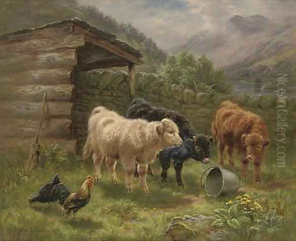Highland Calves, Jay Valley, Perthshire - view 1