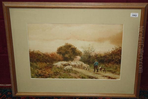 Shepherd With Sheep In Rural Lane - view 1