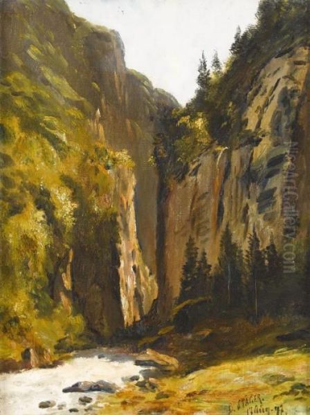 Vor Der Linthschlucht - view 1