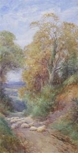 Sunshine In A Surrey Lane