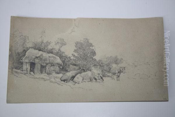 Cows Grazing - view 1