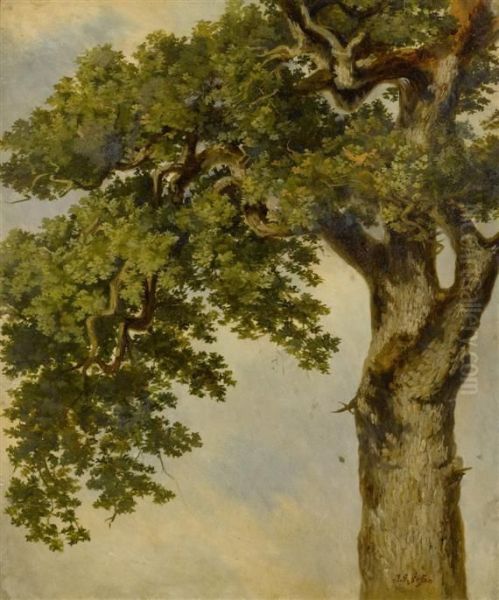 Tree Study - view 1