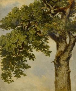 Tree Study by Johann Gottfried Steffan