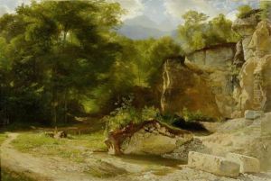 Forest Landscape Forest Landscape