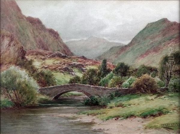At The Bridge,borrowdale - view 1