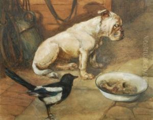 Dog And Magpie