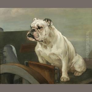English Bulldog At The Defenses