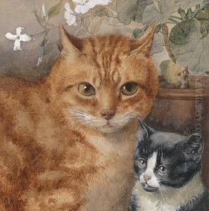 Cats