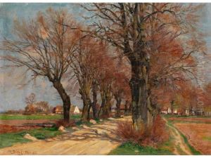 Allee Vor Bauerngehoften Im Vorfruhling