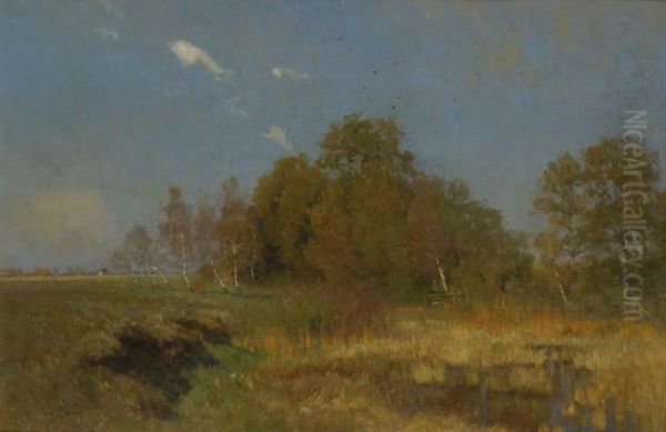 Herbstliche Moorlandschaft - view 1