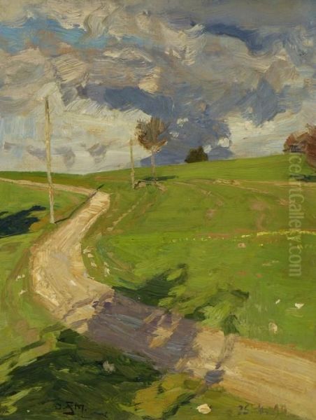 Sonniger Feldweg. - view 1