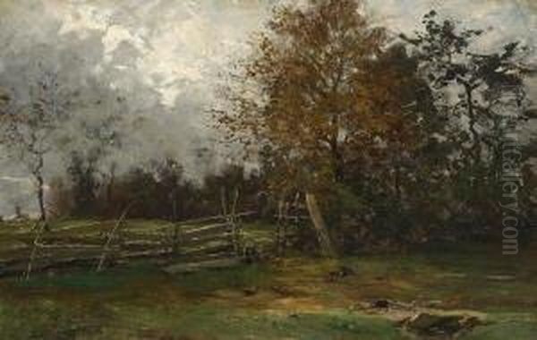 Am Weidezaun. - view 1