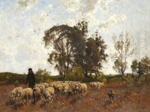 Schafer Mit Herde Schafer Mit Herde