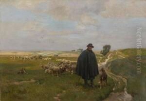 Schafer Mit Herde