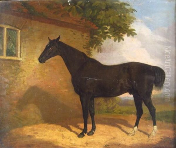 Portrait Of A Black Horse - view 1