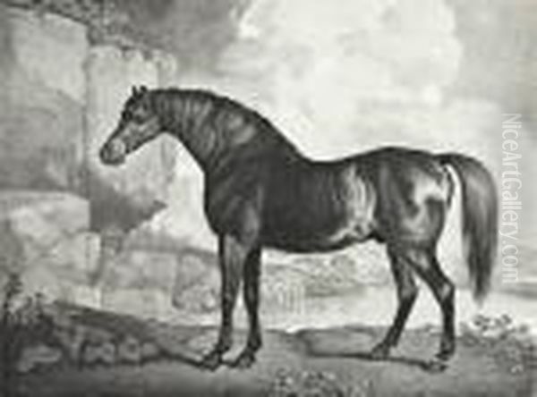 Baronet; Sharke; Sweetwilliam; And Maske - view 1