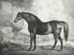Baronet; Sharke; Sweetwilliam; And Maske by George Stubbs