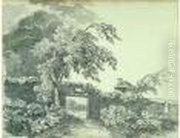 Paysage - view 1
