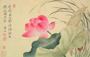 Lotus flower, by Yun Shou-Ping (1633-90), from an Album of Flowers by Shouping Yun