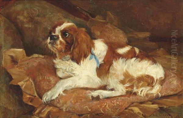 A Comfier Spaniel - view 1