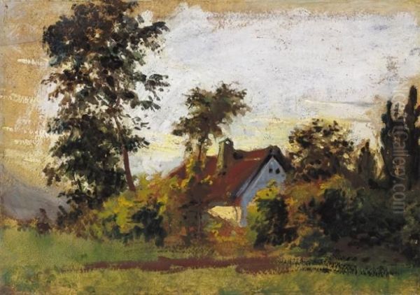 Farm In Szada - view 1